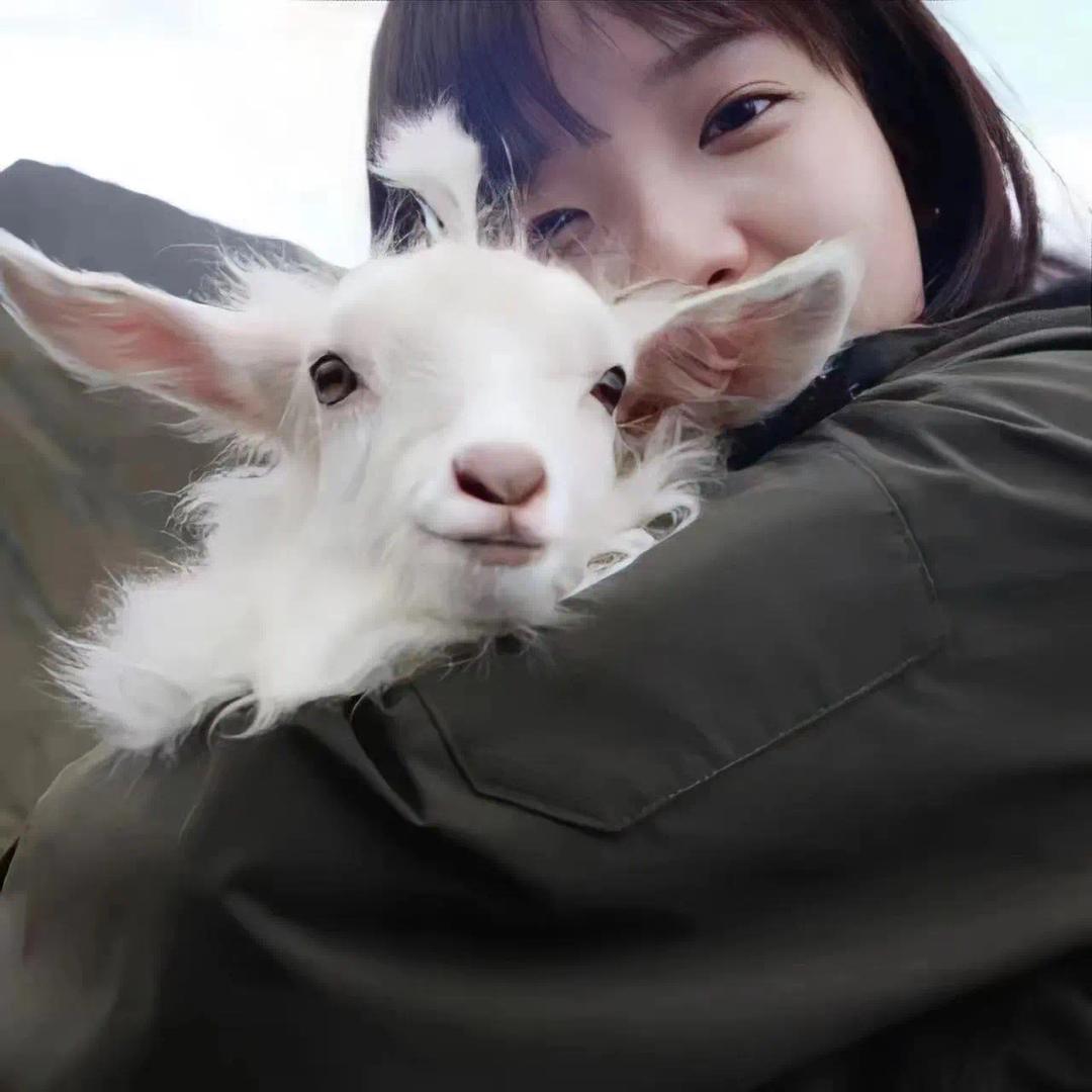 热鲨鲨