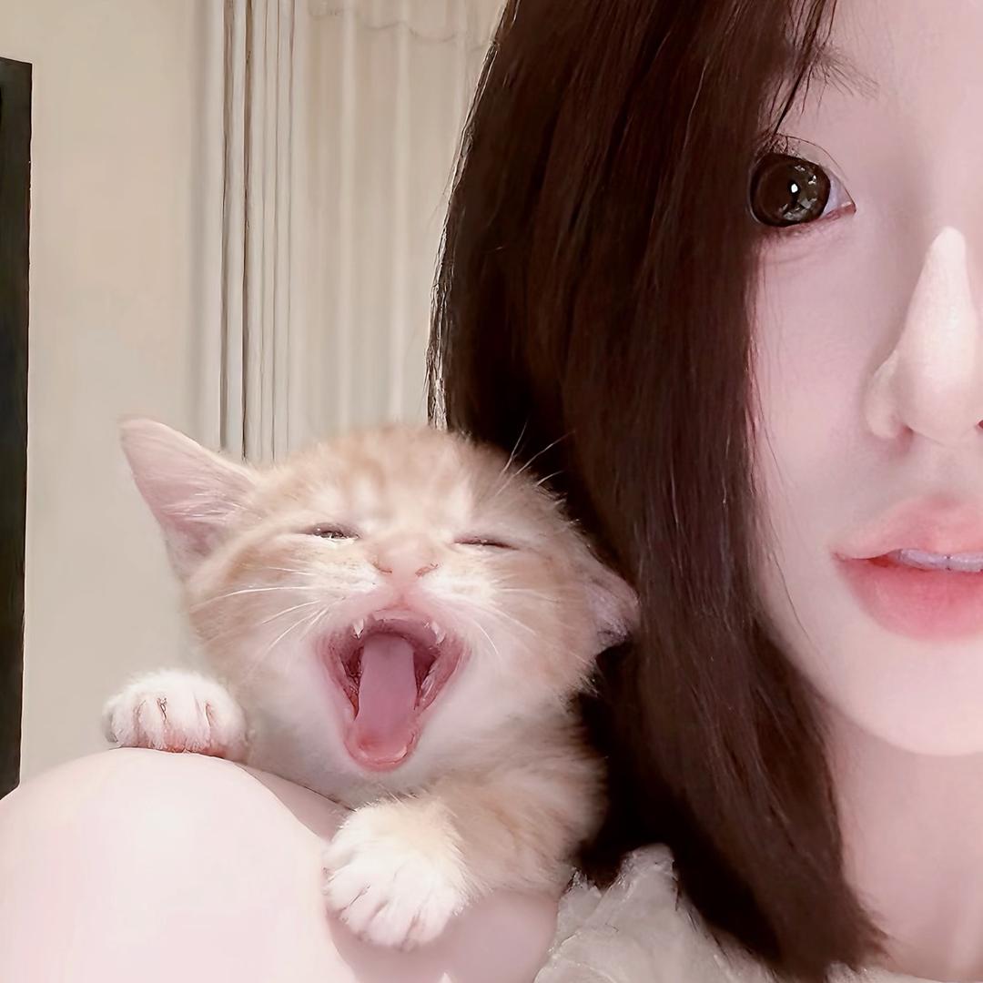 加冰