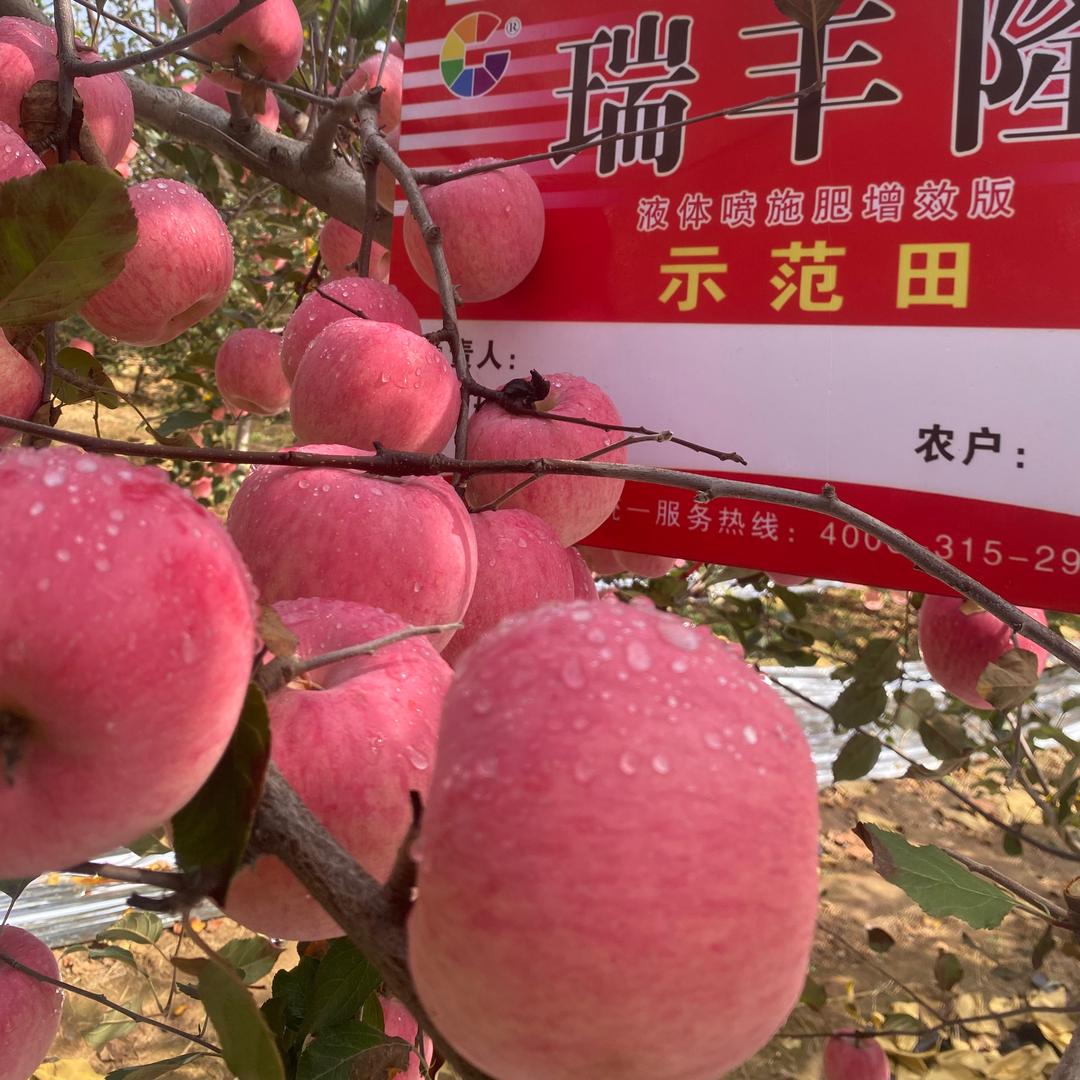 山西杰丰农业（代办，农技）