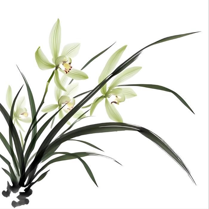 蜀兰阁