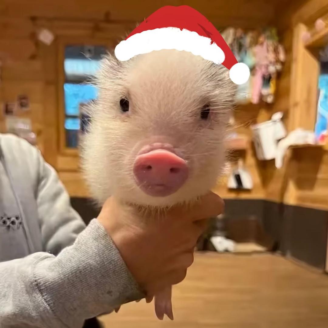 在我变成你之前