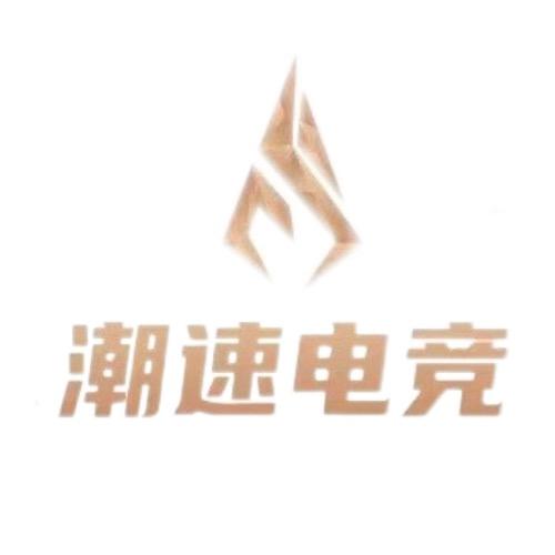 潮速电竞