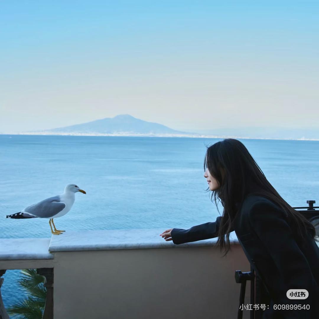 花开富贵.