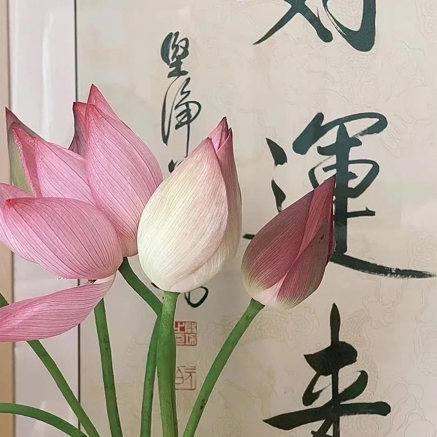 沫檬弘洁清卫浴用品专卖店