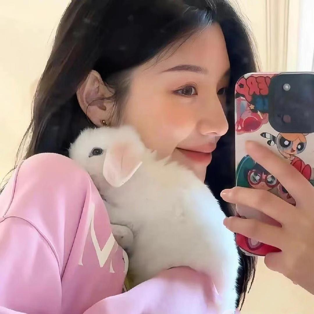 芥末丝