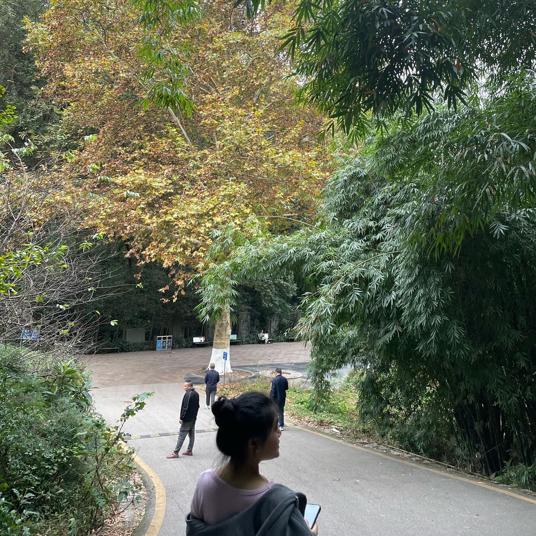 有亿点好运吖