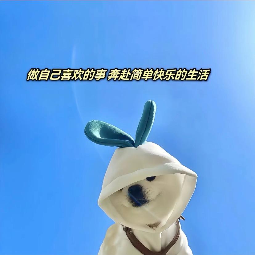 疯狂小生哥