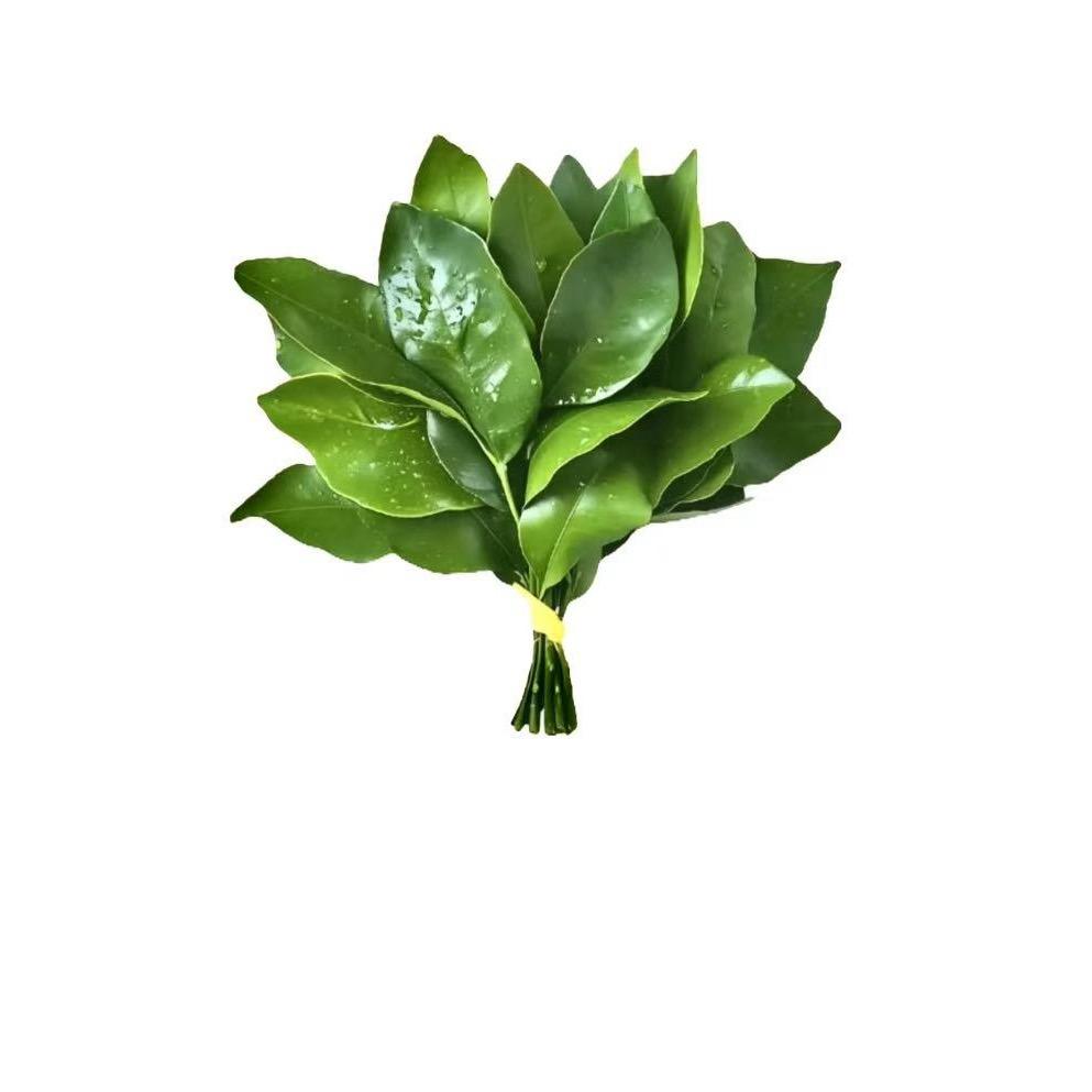 黑眼圈眼快消失