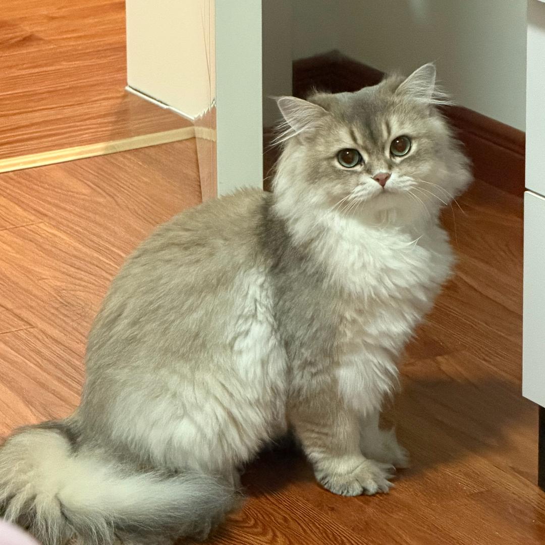 昵称是给别人看的