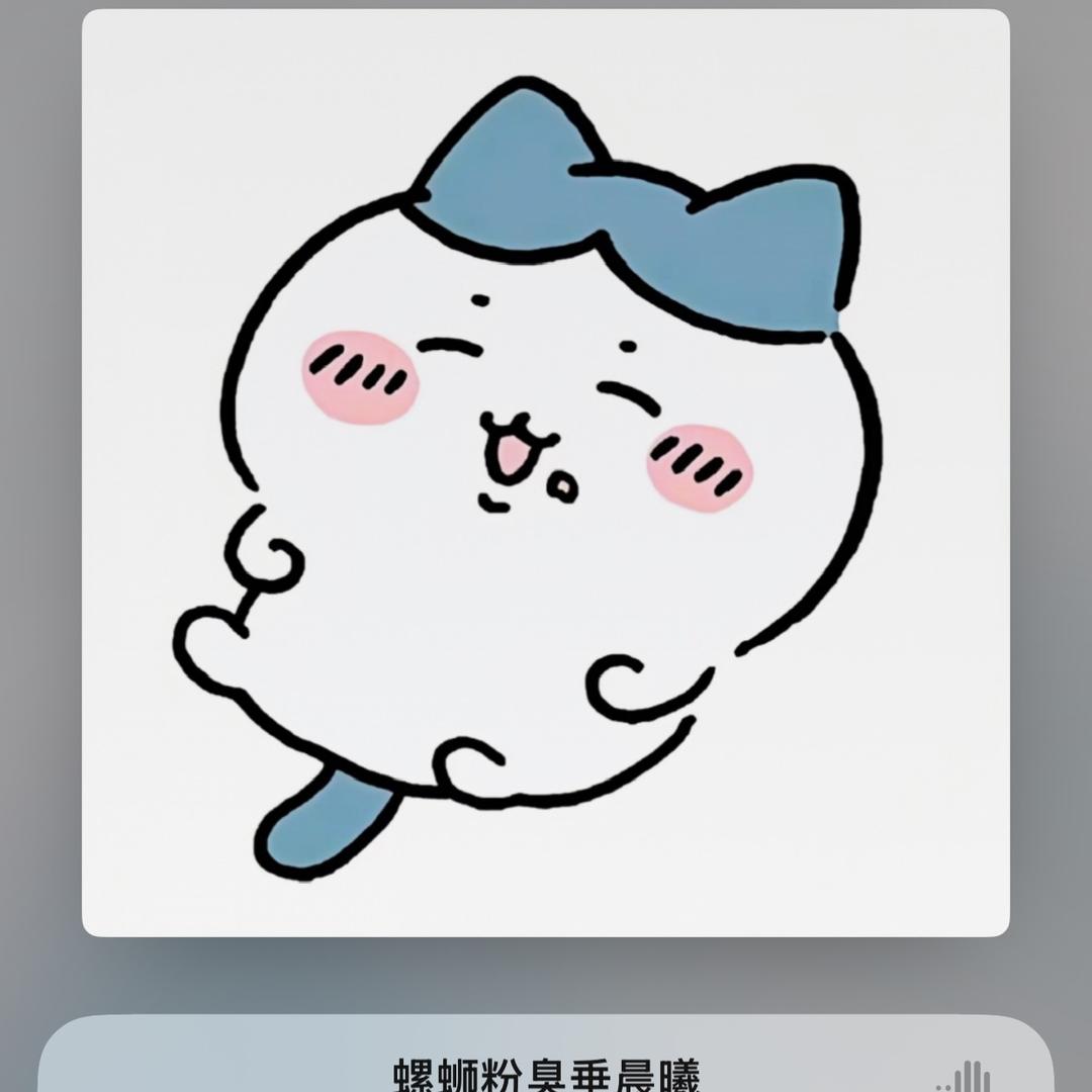 张爆爆