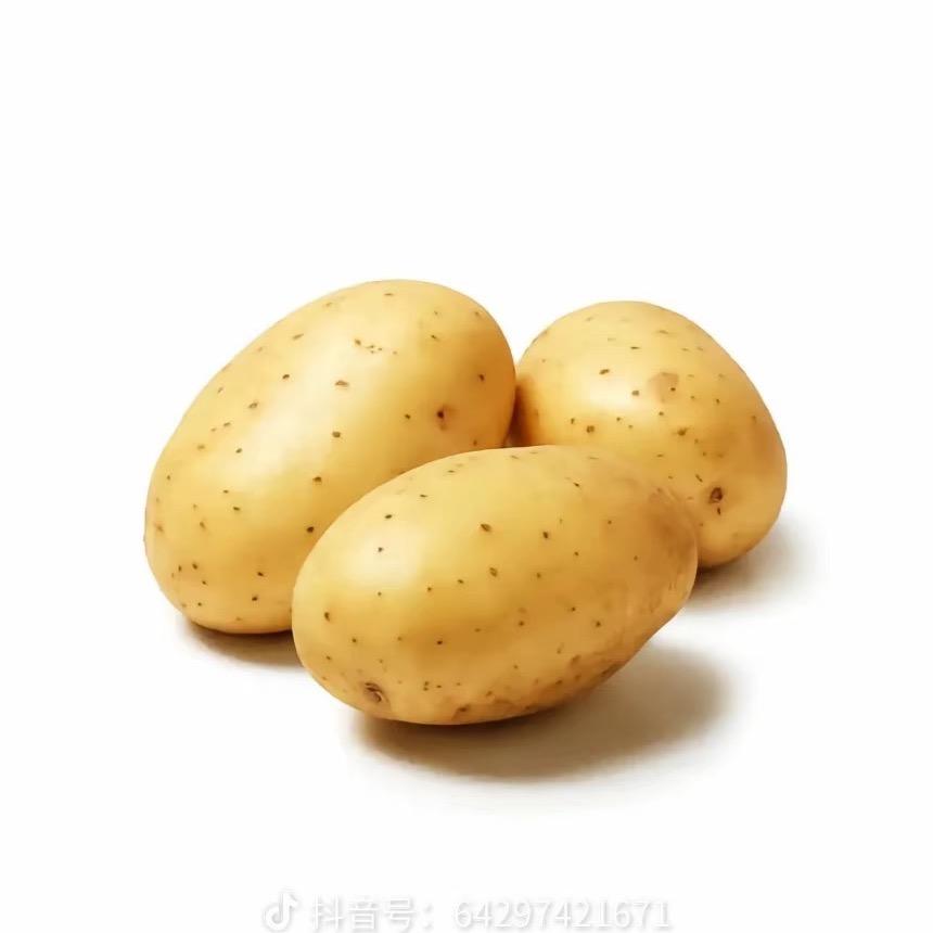 我是土豆