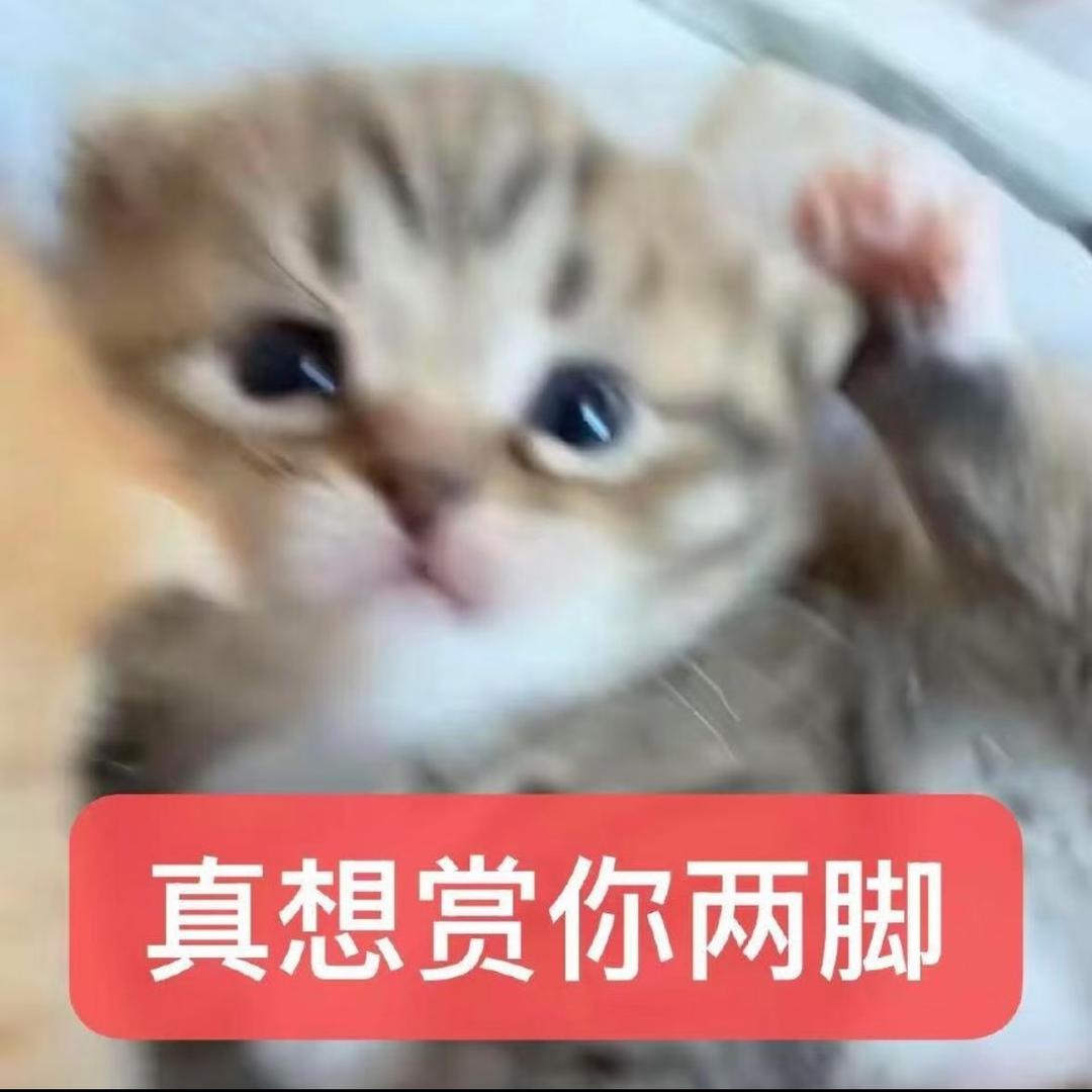 sub都是大好人