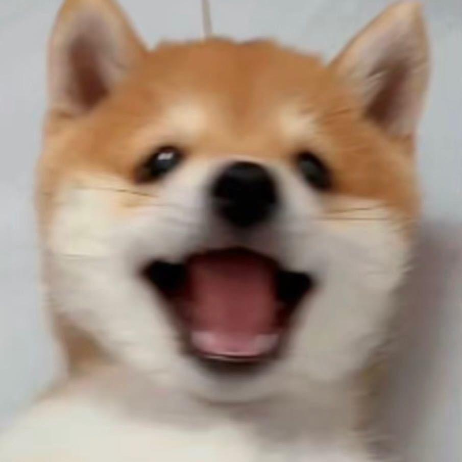 李善良
