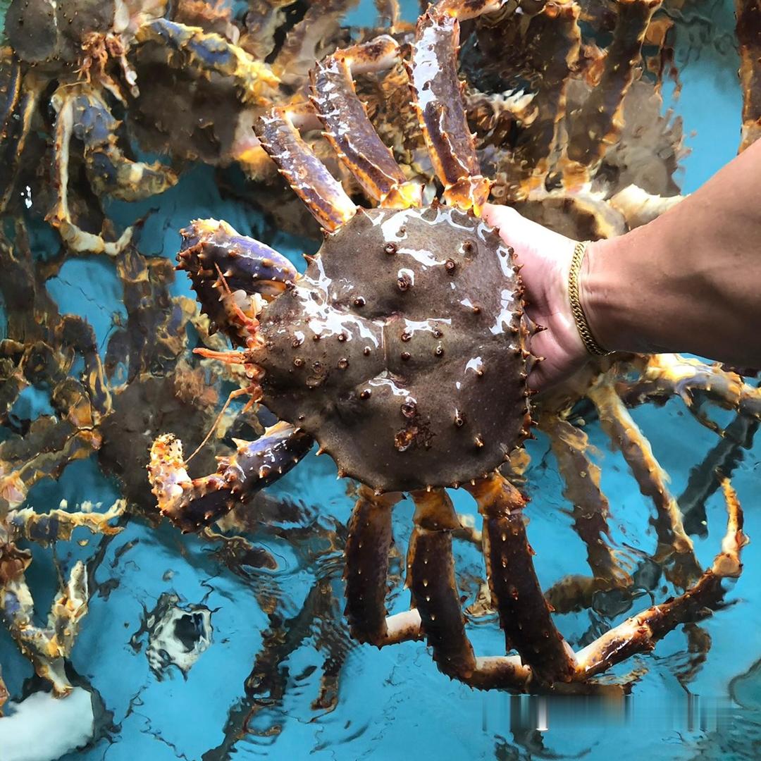 南通．四季水产品店