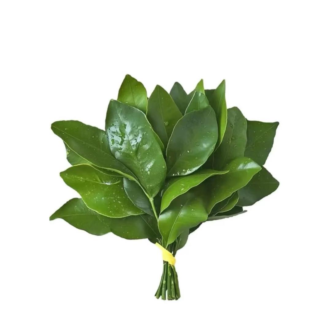 小贺是个大胖子
