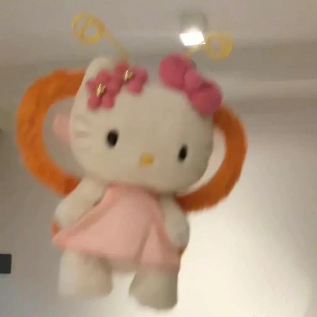 今天不吃姜