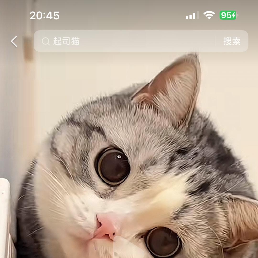 龙山县鲲鹏网络科技有限责任公司