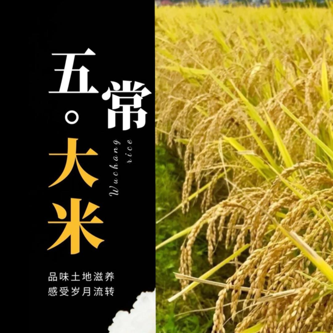 零点（长春）网络运营有限公司