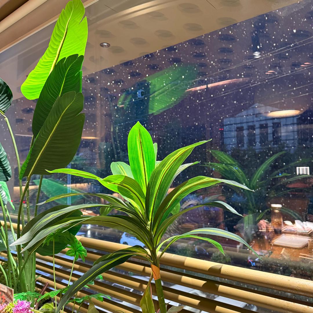 灼见洪艳聊饮食