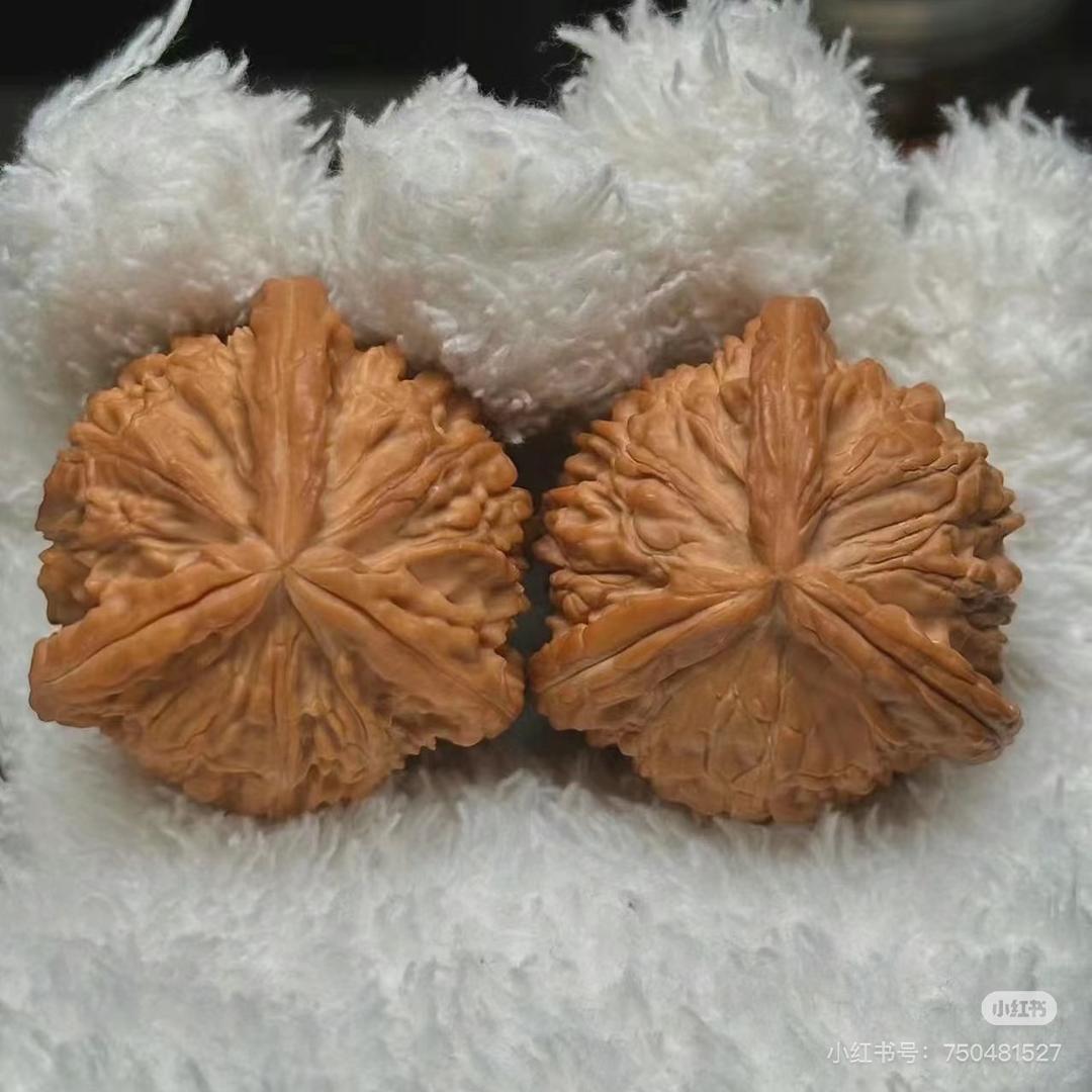 我家有颗核桃树