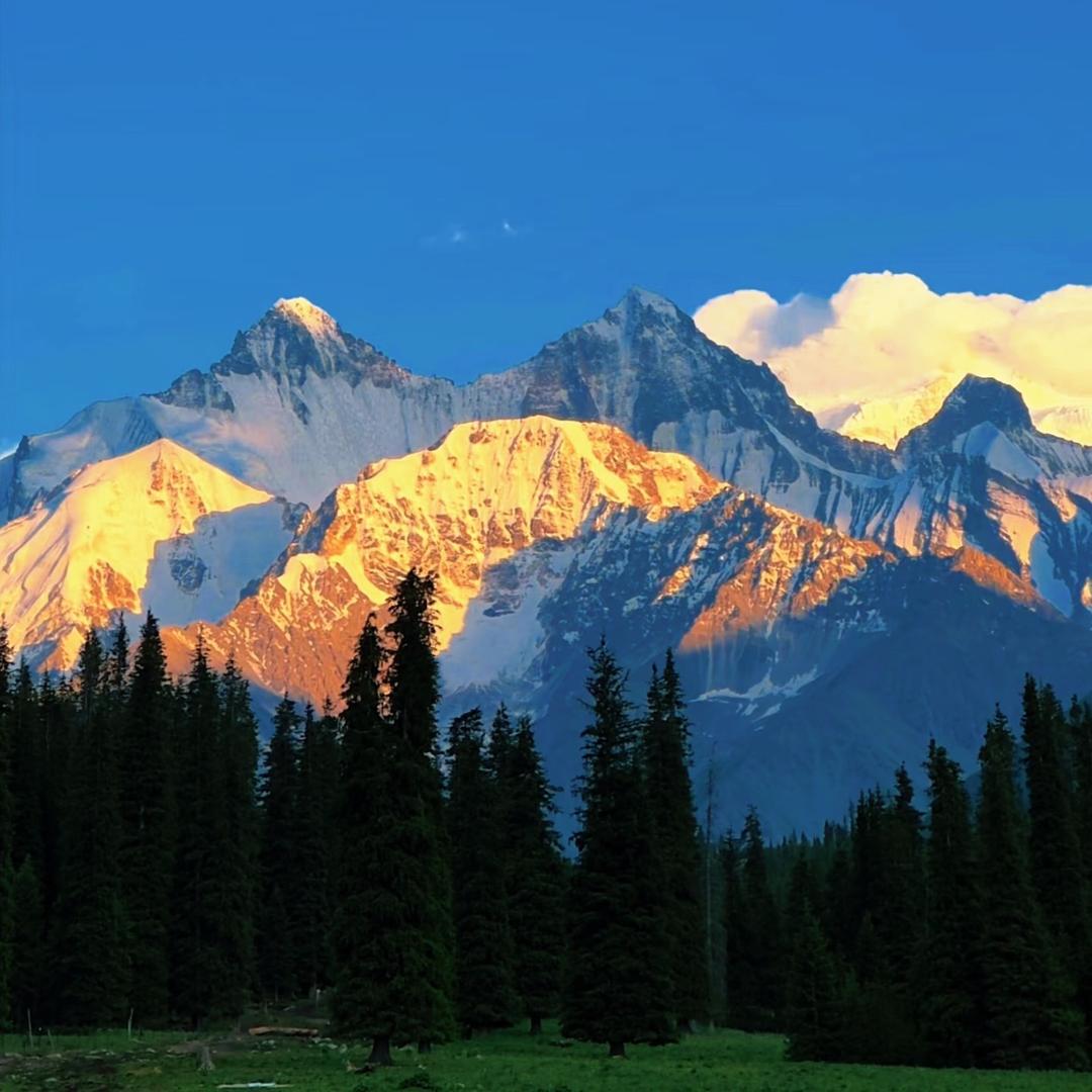 卡西莫多的小疯子yu