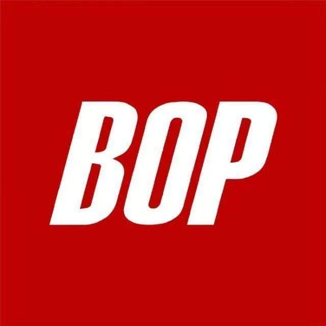 BOP保镖.隐形车衣(武陟昊乐)