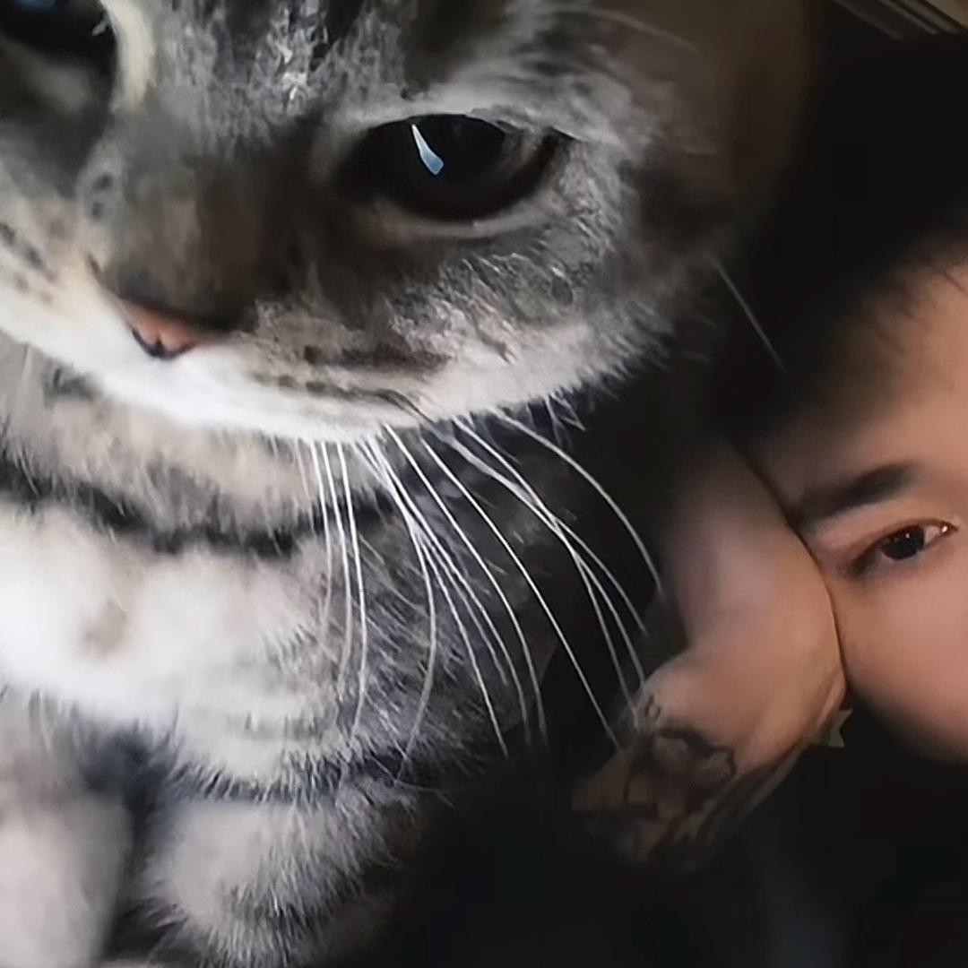 排骨饭