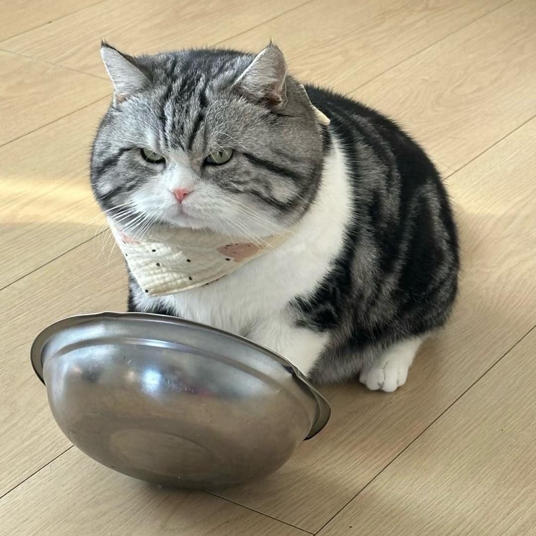 腊月的萝卜