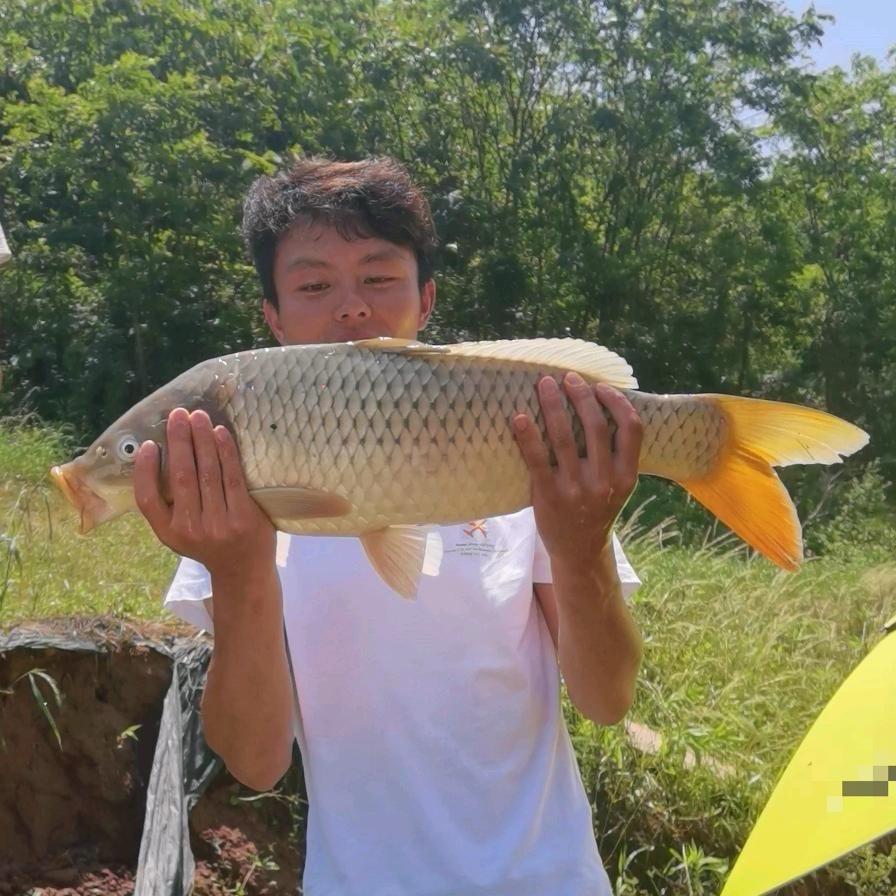 吴亚钓鱼-垂神@抖音