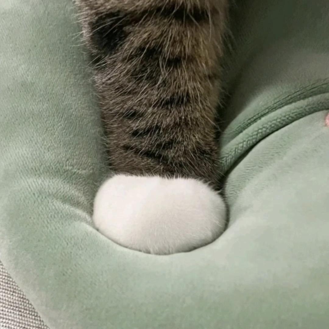 GA