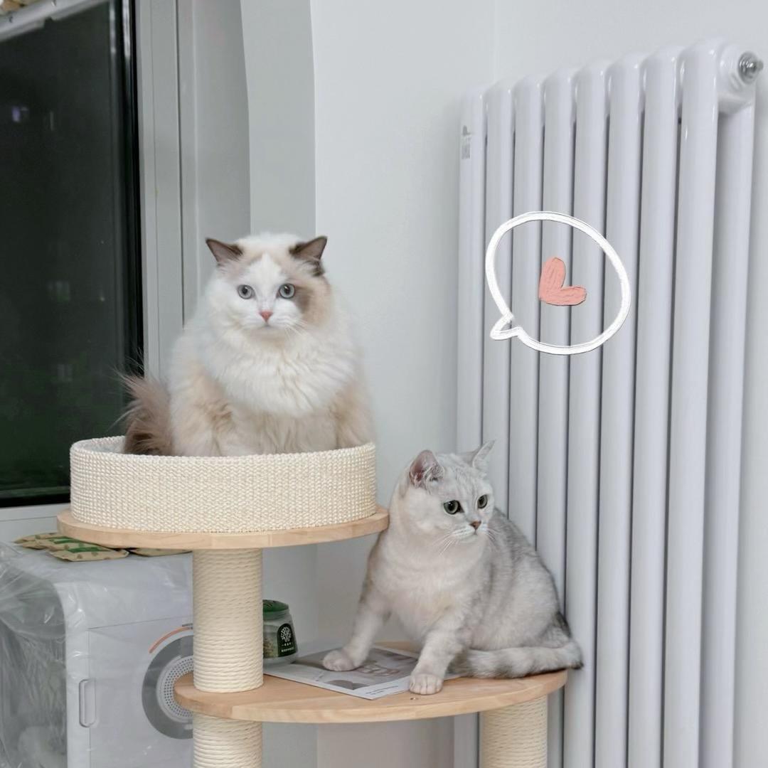 或许你喜欢小熊软糖嘛🧚