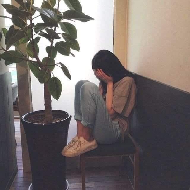 ❤️❤️Rose Queen❤️❤️