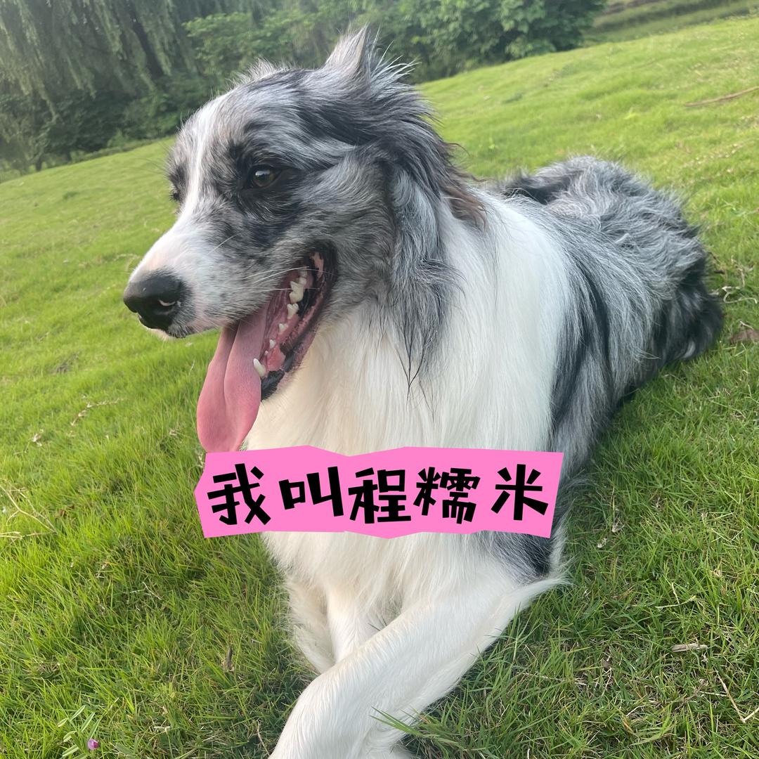 🥀₅²⁰💃程许你一世繁华¹ᶟ₁₄