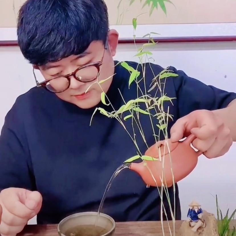 云溪先生