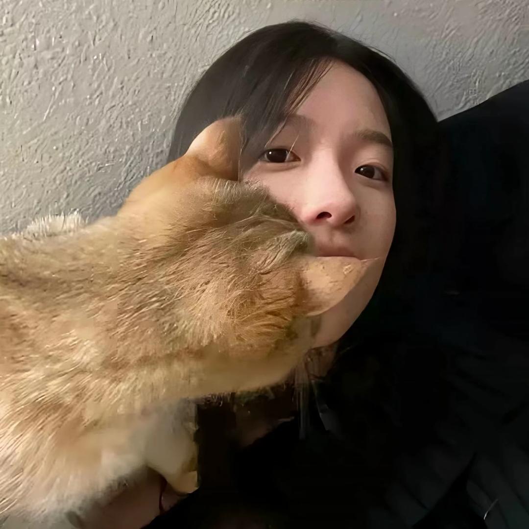 累了会睡觉