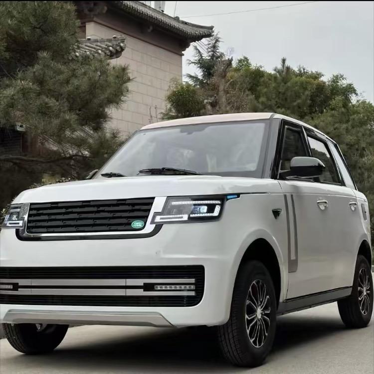 济宁志洋新能源科技低速代步车工厂