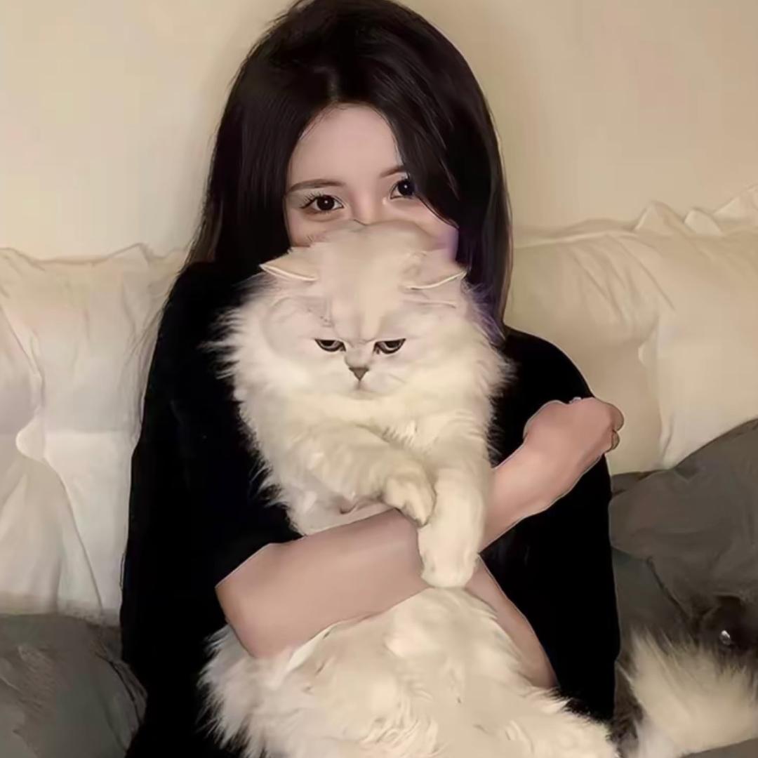 ^美杜莎 .