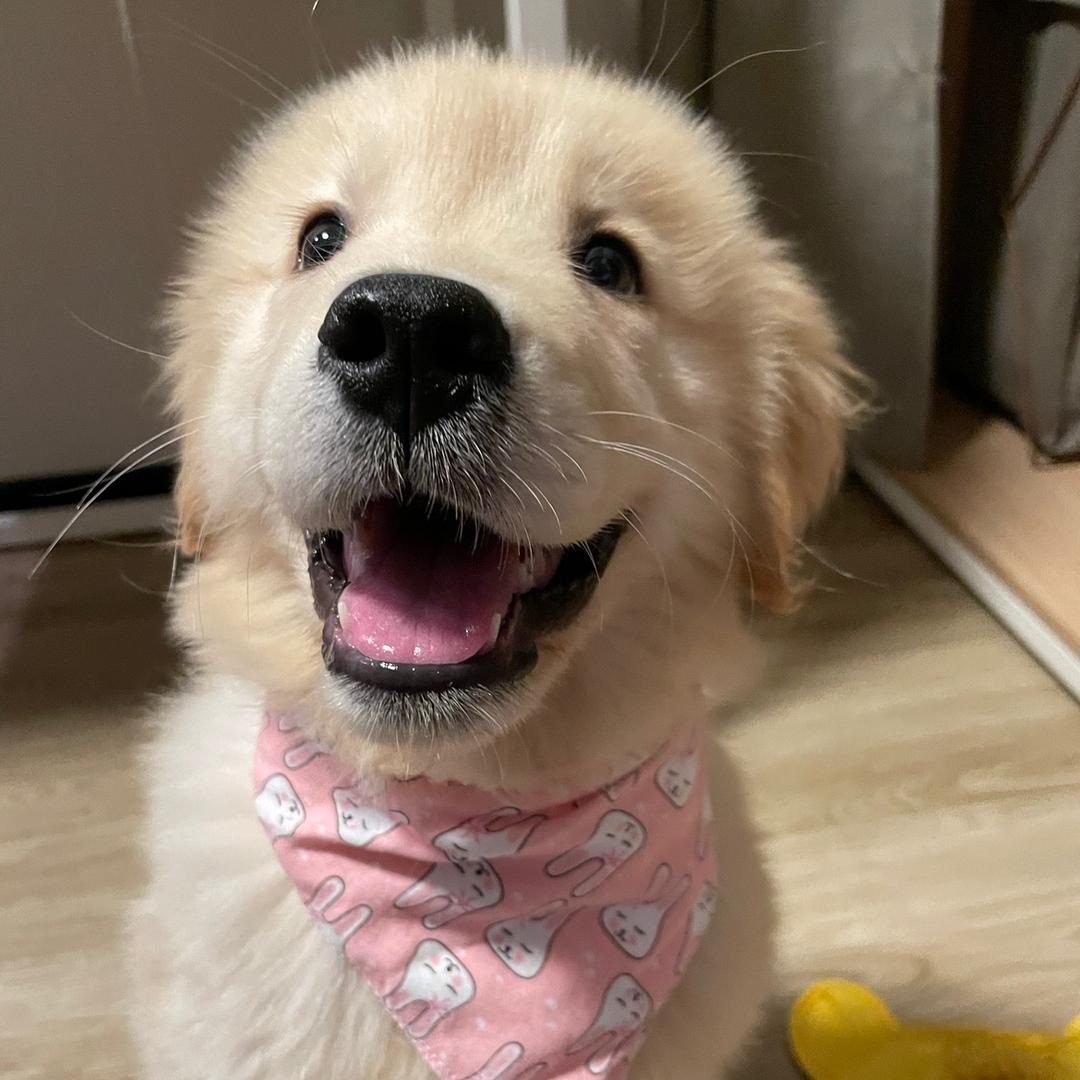 妹妹（mēimēi）是也