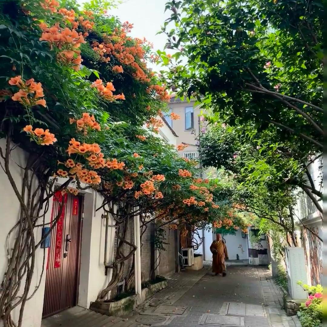 酥酥