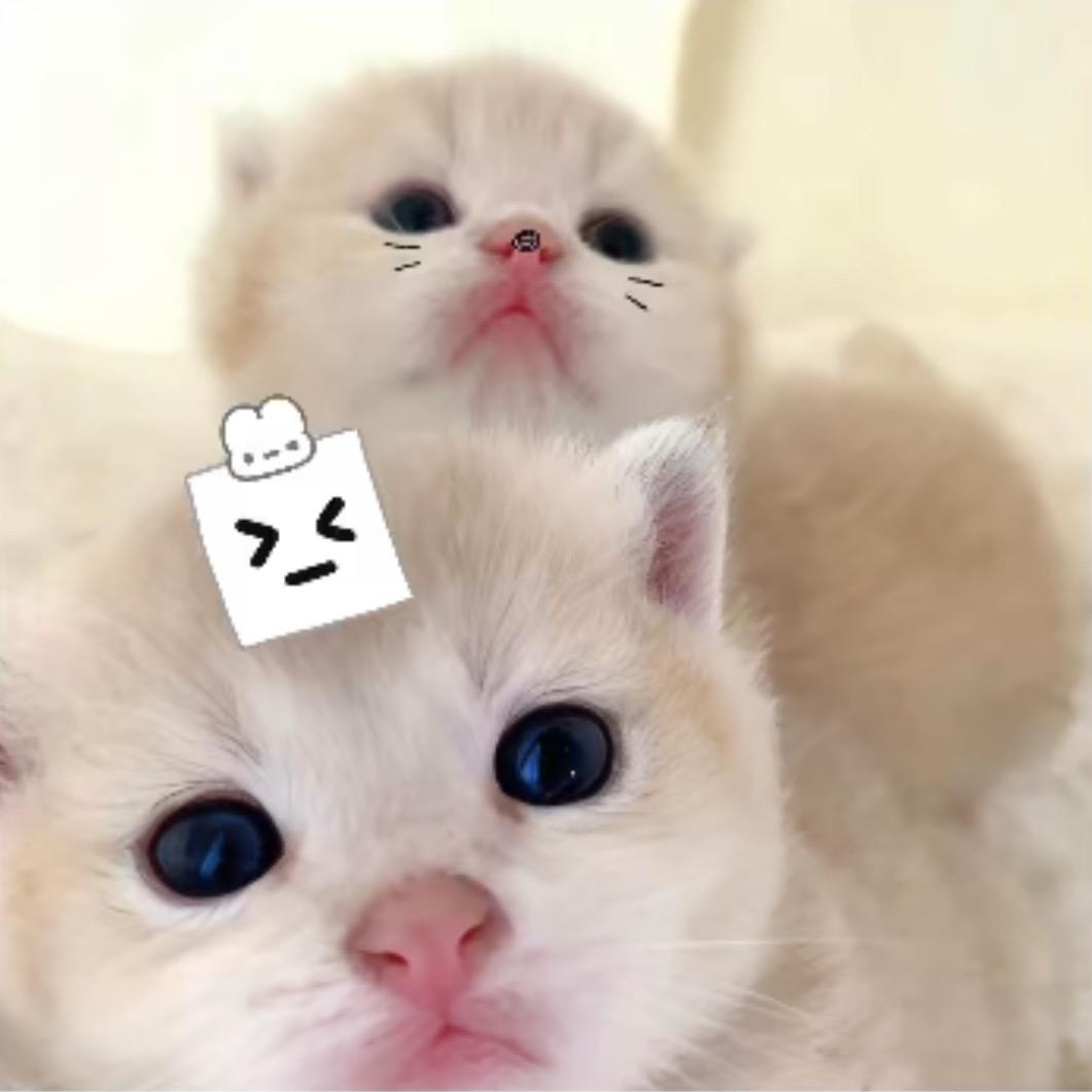 老公懂事的跟人跑了