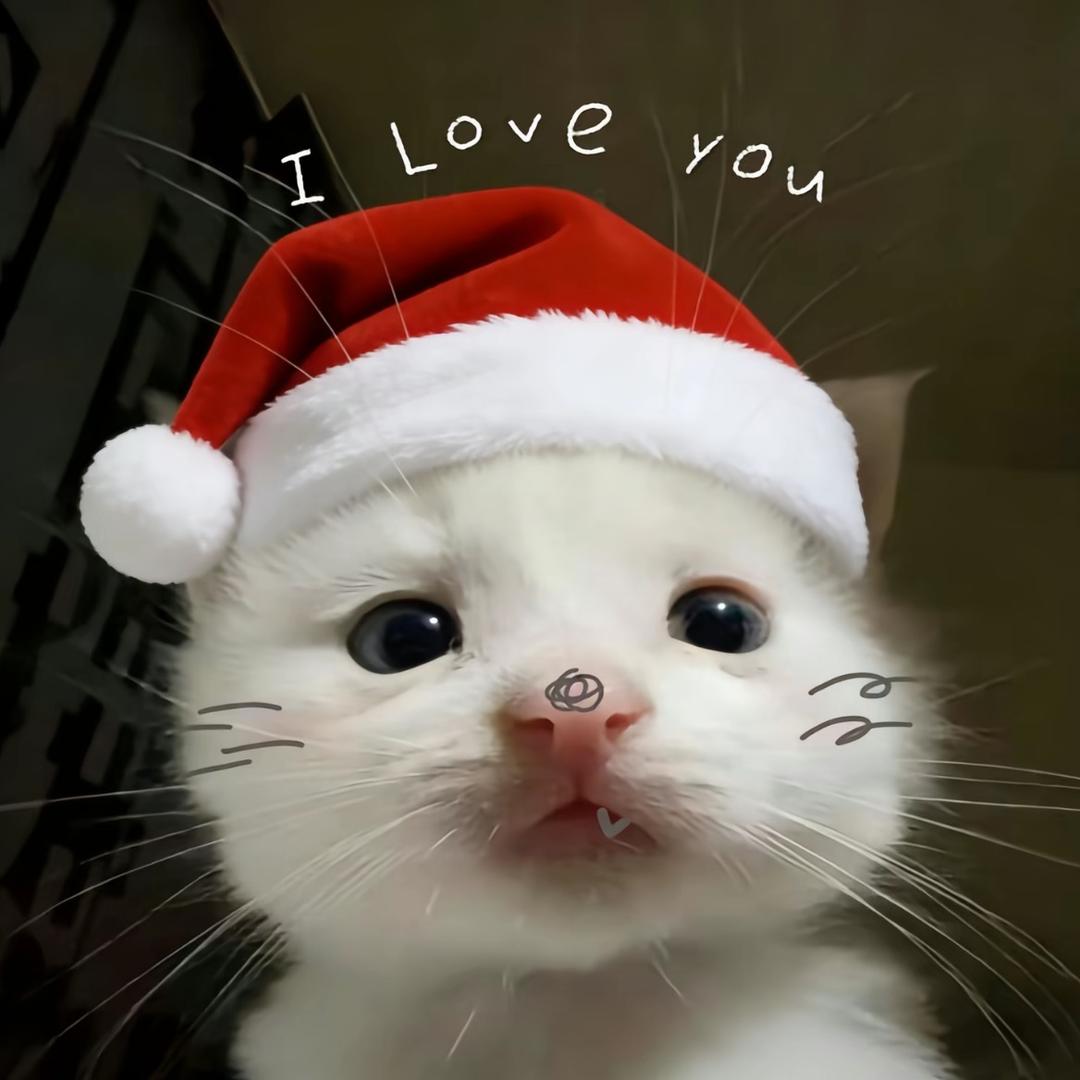 狗狗教之裔