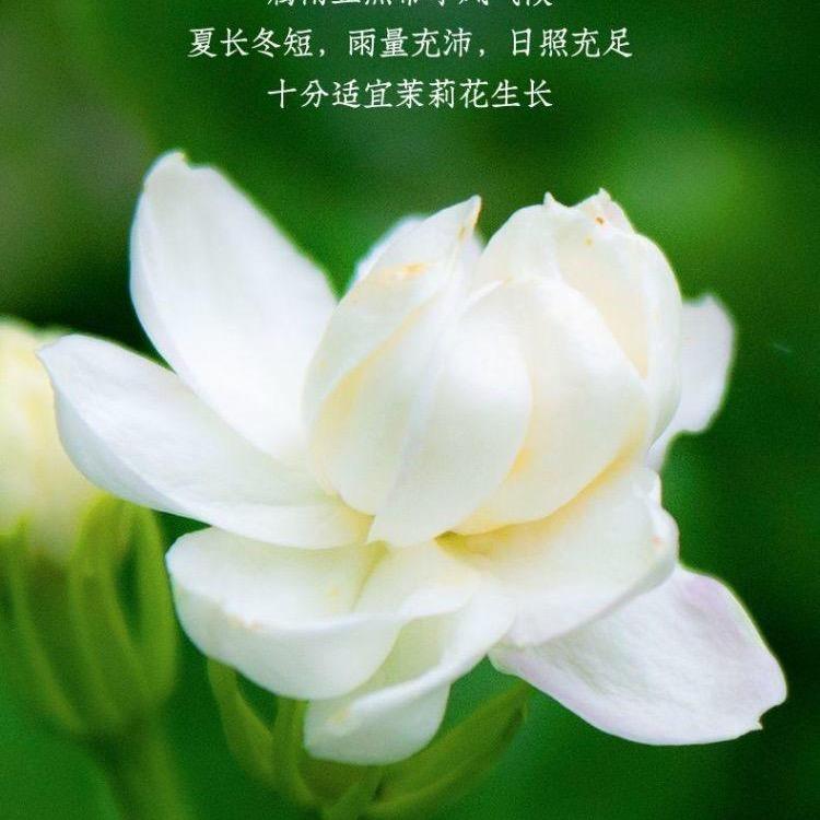 优选百货