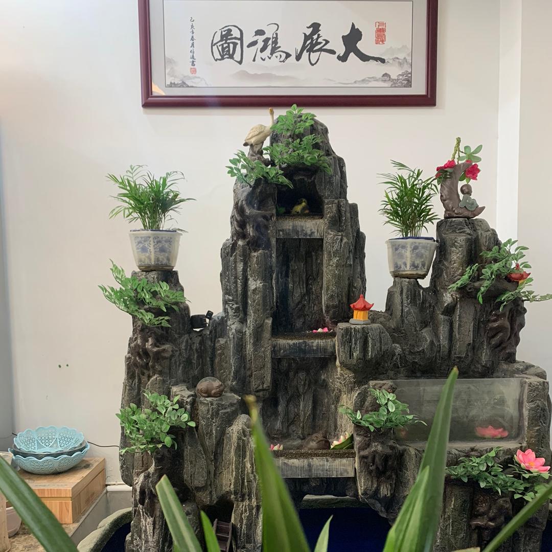 小飞龙