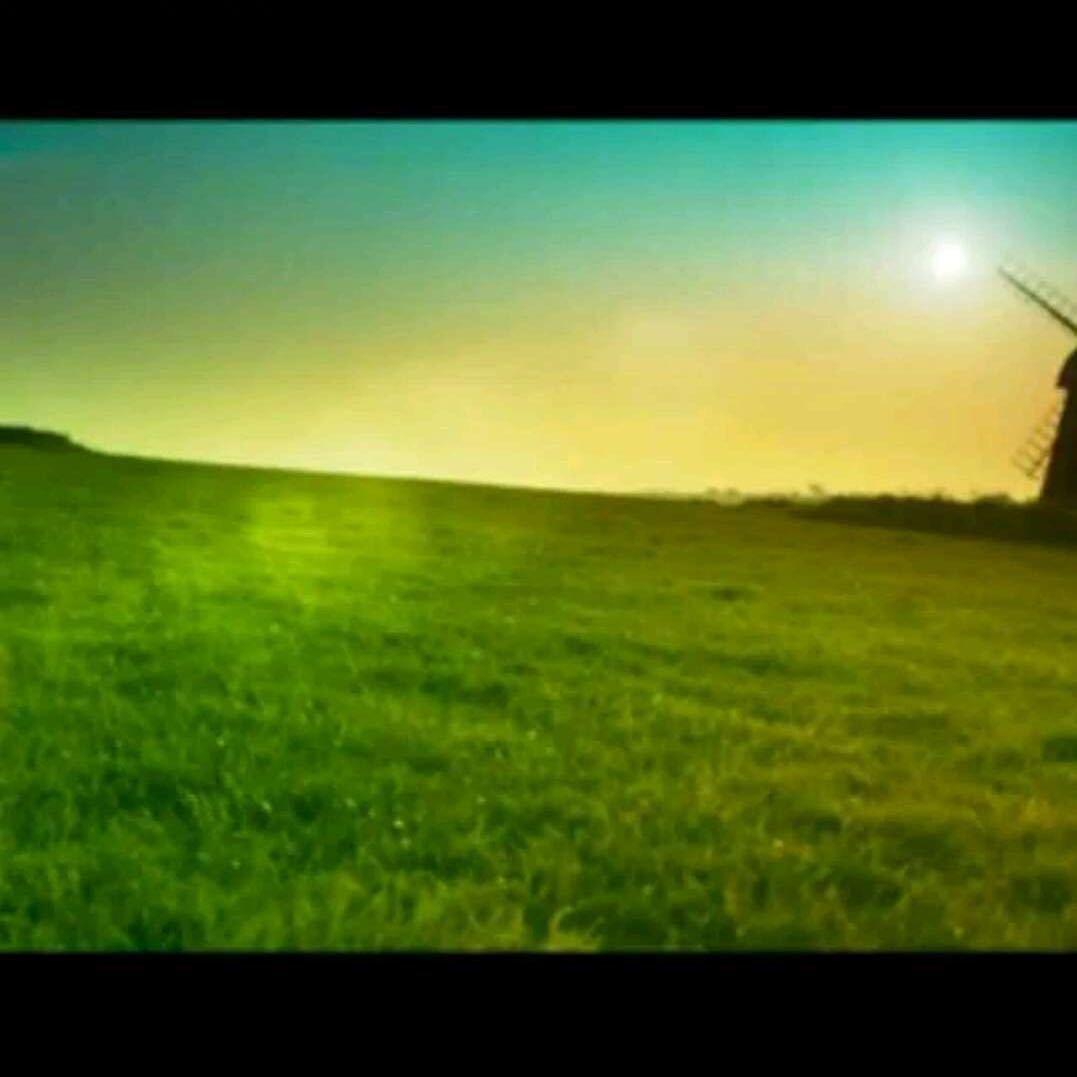 Cook美食猴哥🐒