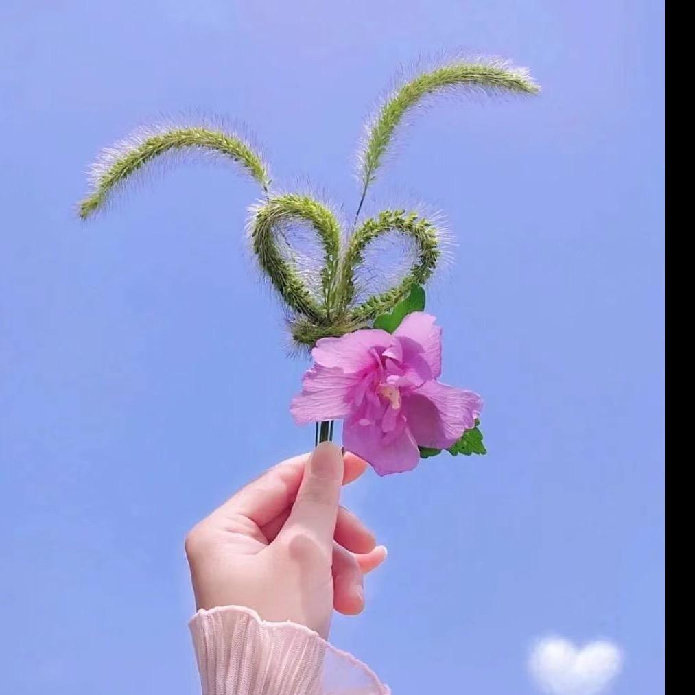 开心🥳宝儿🦖