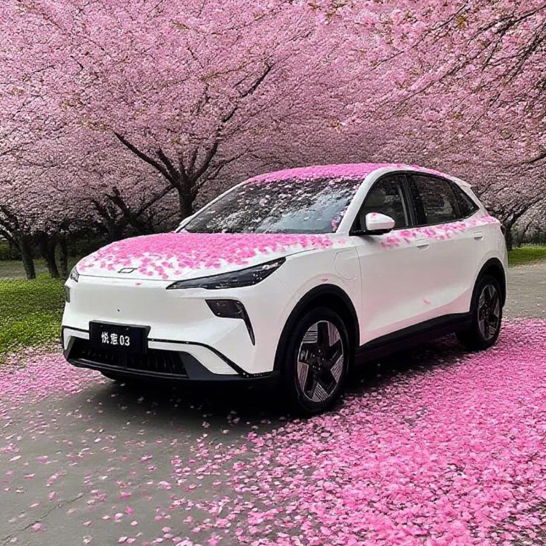 余姚大家汽车销售服务有限公司