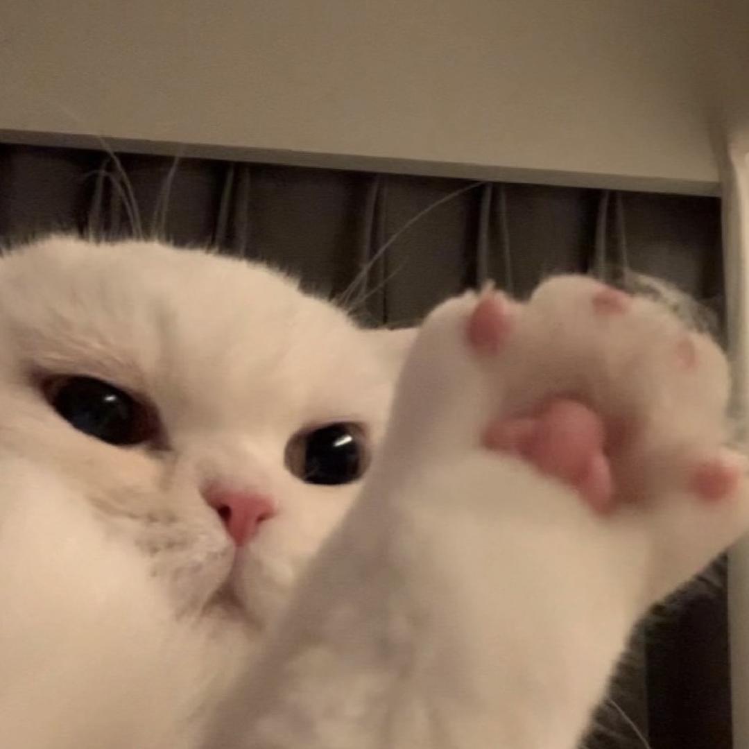 咪咪子潮玩
