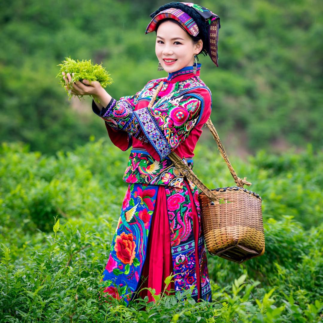 界上花