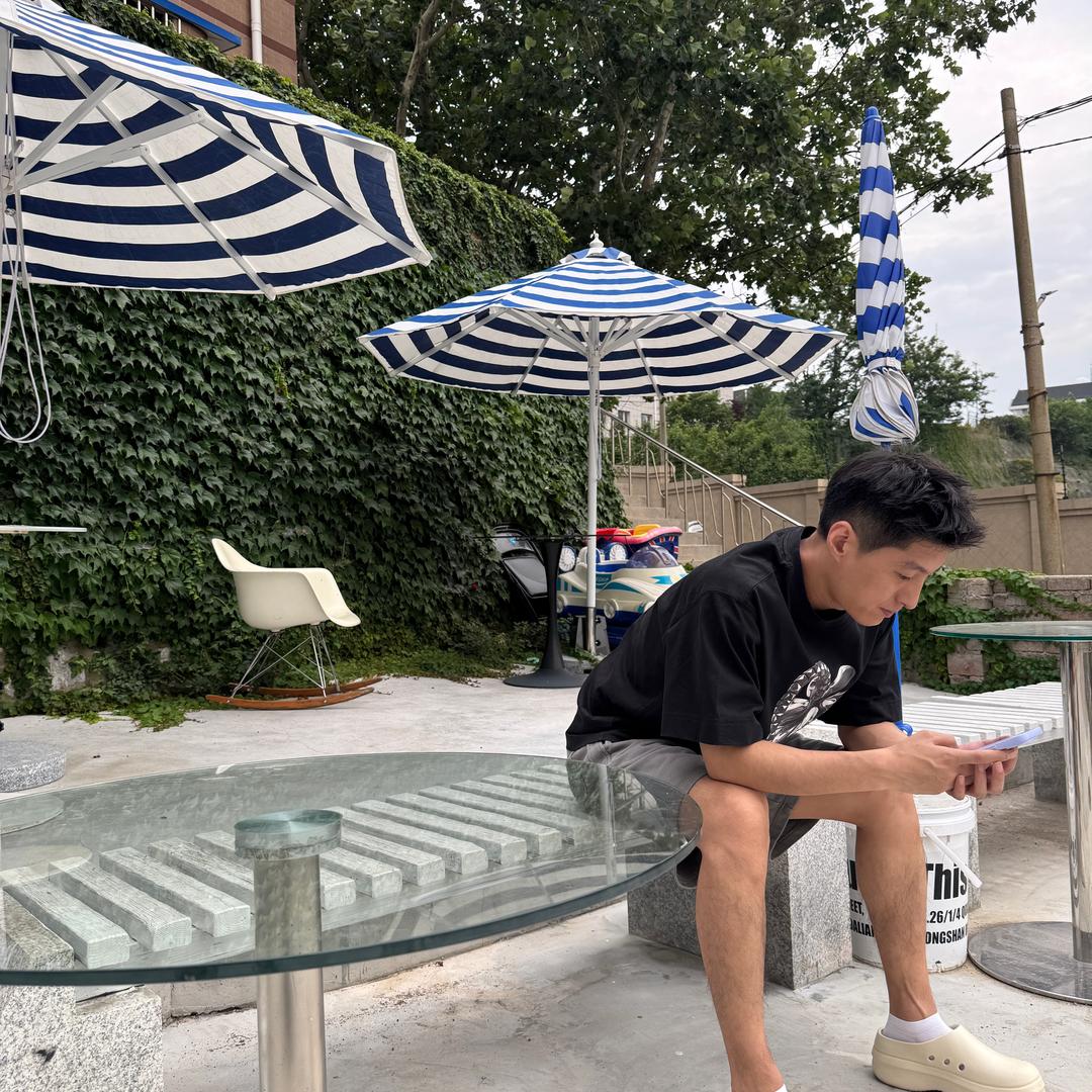 达文西.