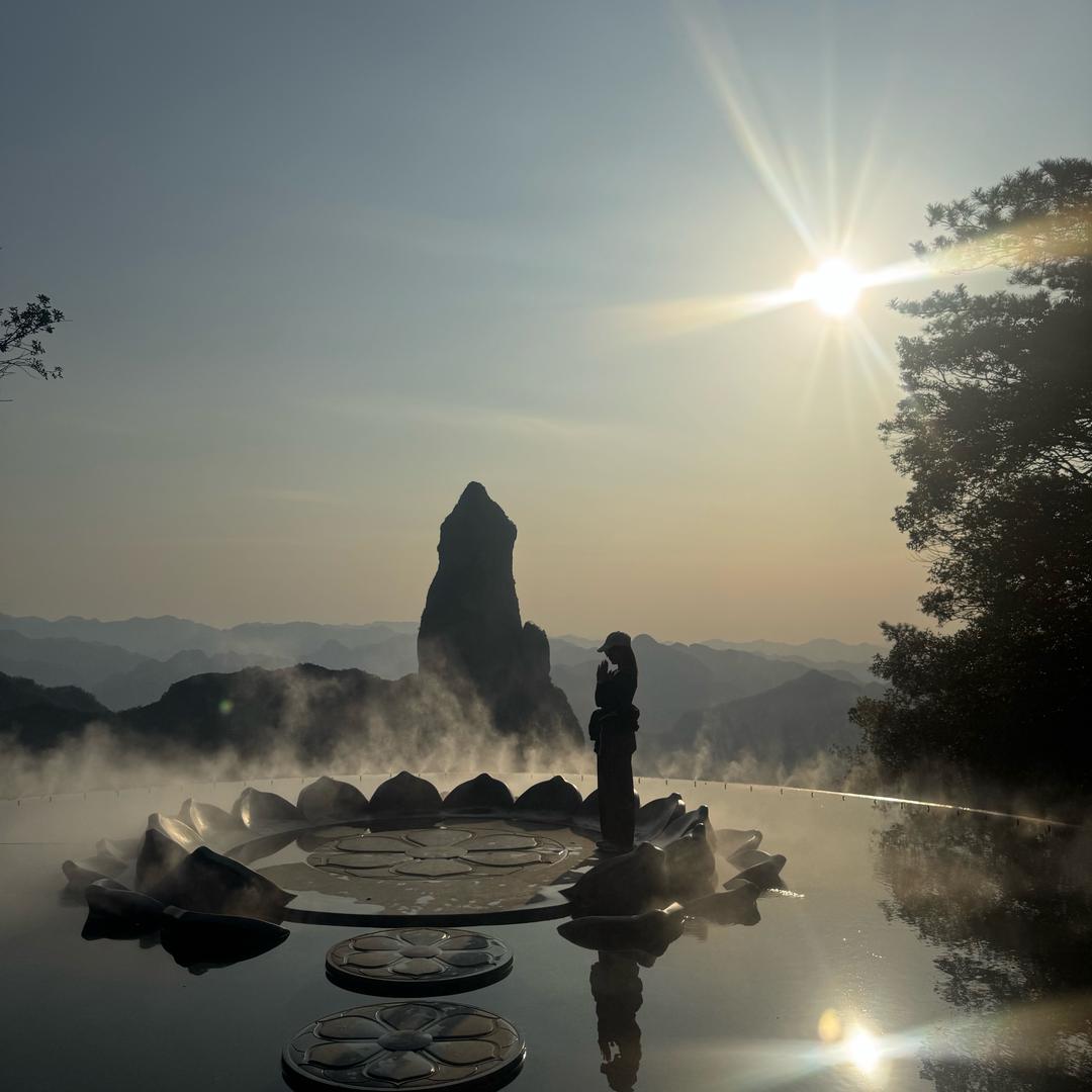 莲花白